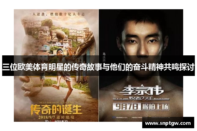三位欧美体育明星的传奇故事与他们的奋斗精神共鸣探讨