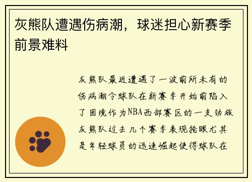 灰熊队遭遇伤病潮，球迷担心新赛季前景难料